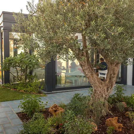 Tra Le Braccia Di Morfeo Bed & Breakfast