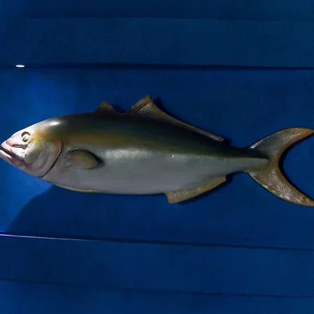 Bed & Breakfast Tra Le Braccia Di Morfeo 4*