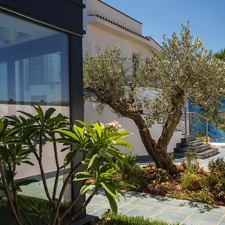 Tra Le Braccia Di Morfeo Bed & Breakfast Terrasini