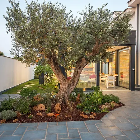 Bed and breakfast Tra Le Braccia Di Morfeo