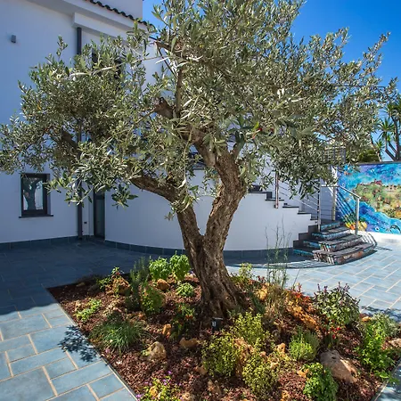 Tra Le Braccia Di Morfeo Terrasini