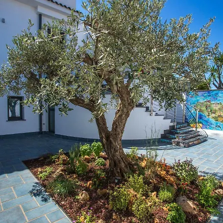 Bed & Breakfast Tra Le Braccia Di Morfeo Terrasini